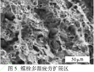 圖5螺栓多源疲勞擴展區